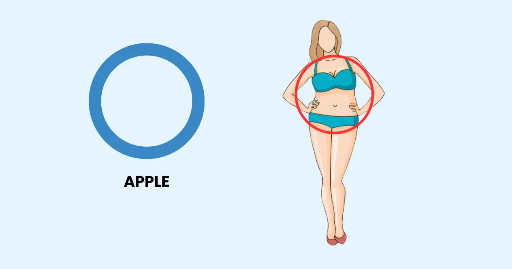 Apple Body Type